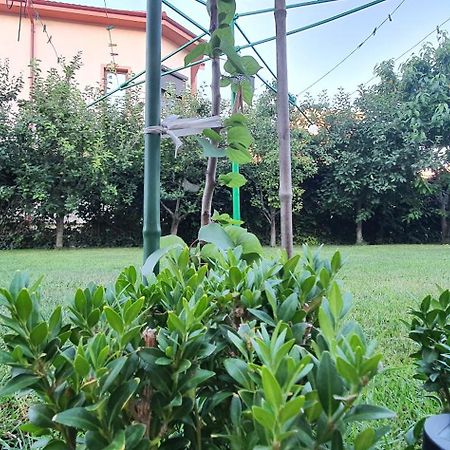 Vila Vasile Năvodari Extérieur photo