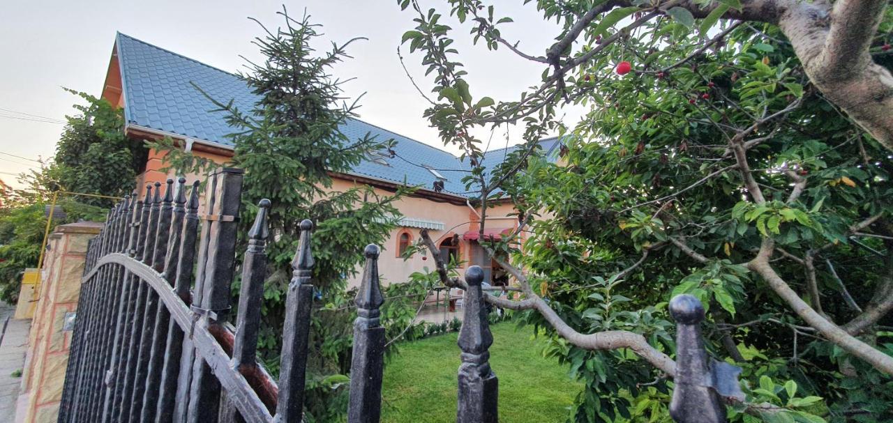 Vila Vasile Năvodari Extérieur photo