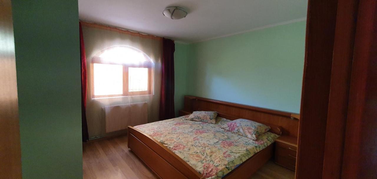 Vila Vasile Năvodari Extérieur photo
