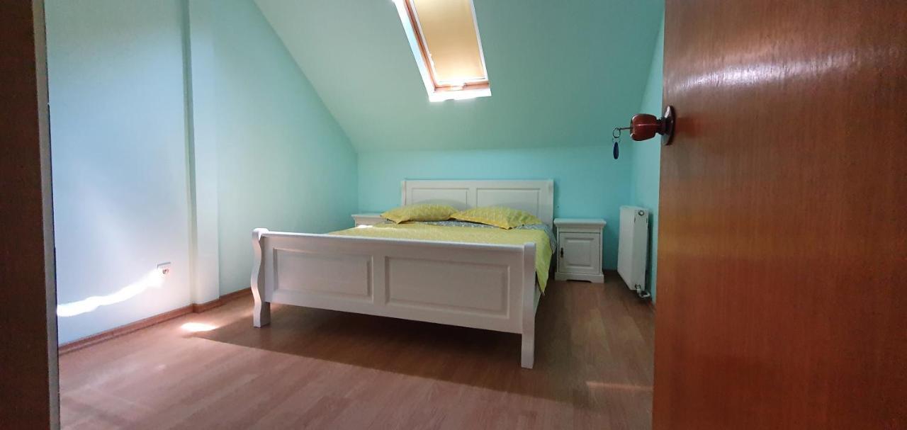 Vila Vasile Năvodari Extérieur photo